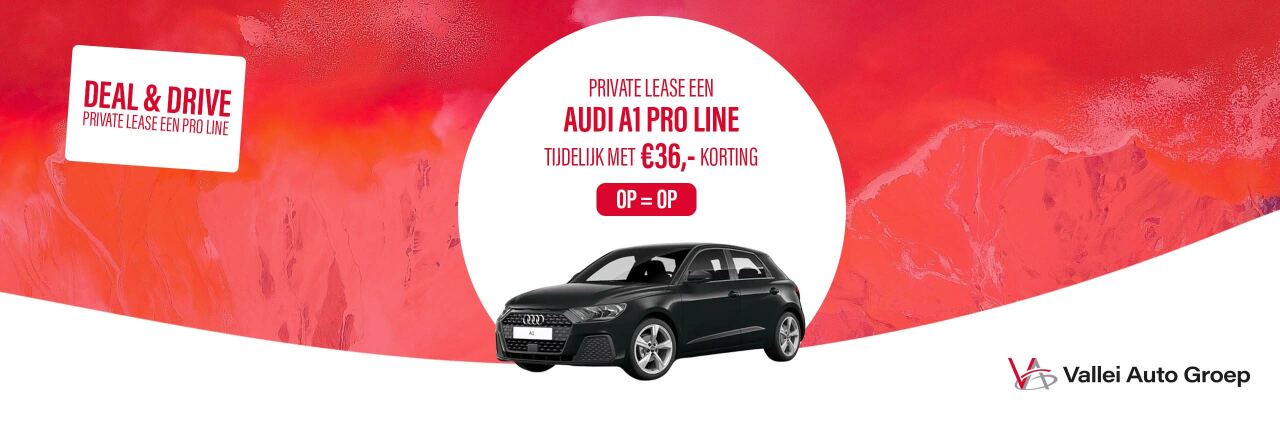 Private lease: Audi A1 Pro line 